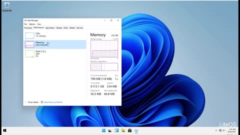 Windows 11 Pro - LiteOS [Build 22000.51]
