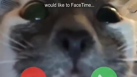 When I make facetime call to my girlfriend😅🤣