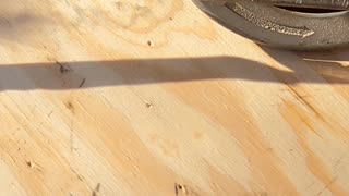 Cabinet Grade Wood Butchery! Cheap