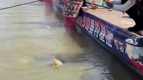 Best Asian fishing video, Weekend fishing