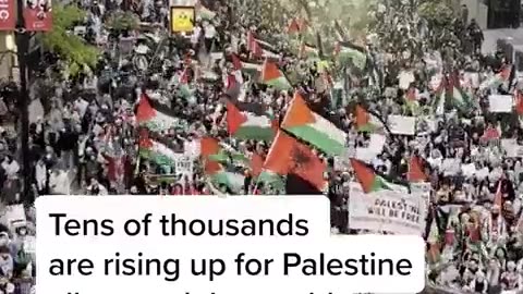 The entire WORLD stands with 🇵🇸!