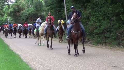 "BIG" Front Action Ryders Annual Walking Horse Trail Ride in Ogden, Arkansas-12