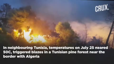 Blazes Trigger Climate Change Alarm, Over 30 Killed in Algeria, Wildfires Rage From Europe To Africa