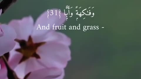 Surah Abasa (shaikh Abdurahma Al-sudaiz)