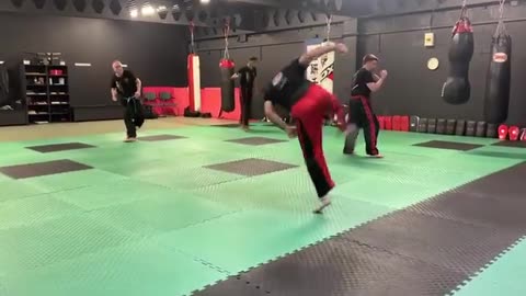 Hapkido Kicking