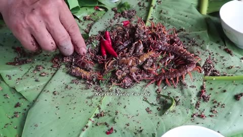 The chinese gatherer captures and cooks delicious grilled centipedes.