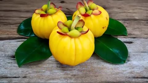 Benefits of Garcinia Cambogia - Tips of the Day. Let's check the benef
