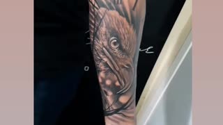 Águia realístic tattoo