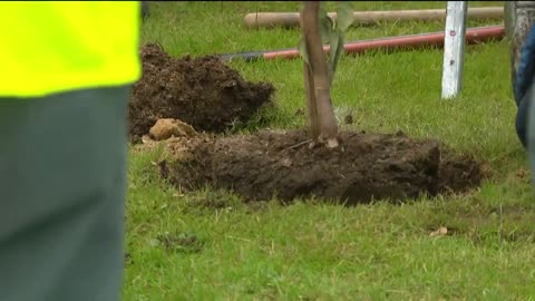 Multiple local and state agencies hold tree planting event to ‘increase beauty of parks’