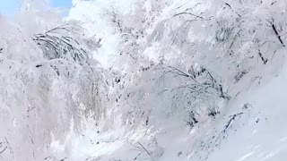 Winter Wonderland Along a Road in Greece