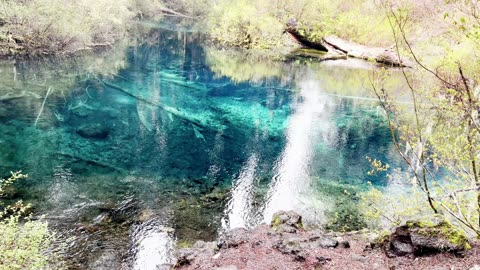 VOLCANIC LAVA ZONE HIKING & "GREAT SPRING" PRISTINE BLUE MAGIC! | 4K | Clear Lake | Central Oregon