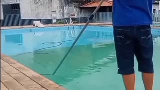 Como limpar uma piscina verde