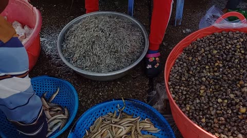 Fish Market in Phnom penh