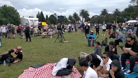 Protest at Auckland Domain - 4th December 2021