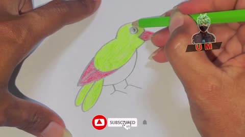 Easy drawing of birds. Sparrow drawing