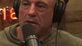 Unbelievable Karate Knock Out Leaves JRE Speechless