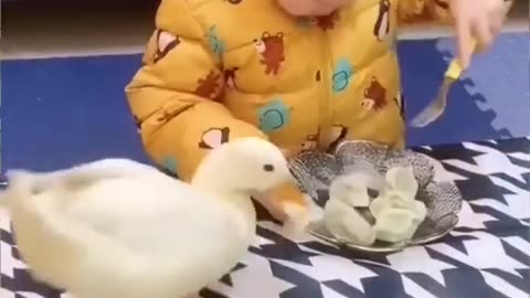 So funny...Babies are bullied by animals #funny#viral#tranding