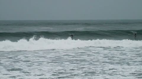 Ibaraki, Japan｜The surfing of the finest waves that have been scaled up