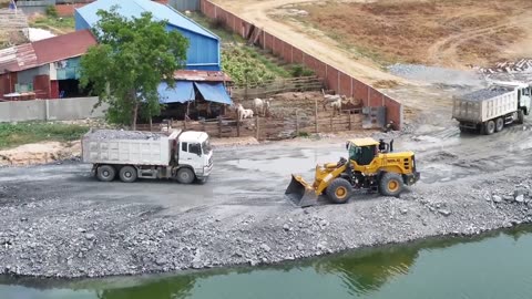 Ep25,Wheel Loader Push Stone In Water With DumpTruck SHACMAN Many Unloading Stone Filling In Water