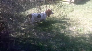 Introvert gets familiar with his back yard