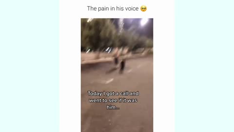 Wholesome Moment Man Reunited With Lost Dog - Most Wholesome Video You Will See This Week!