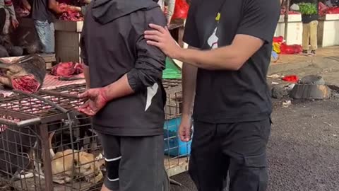DOG MEAT TRADE INDONESIA CAUGHT ON CAMERA