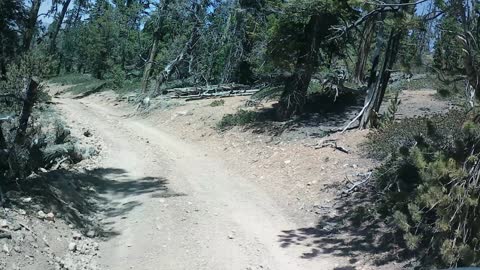 King Creek Loop