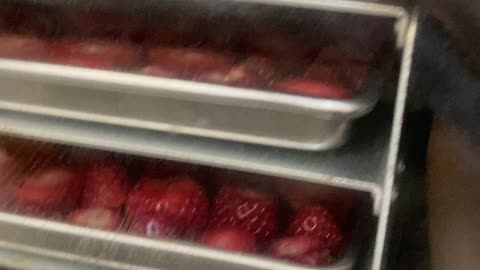 Freeze Dried Strawberries Rock!