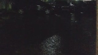 Rain in the night