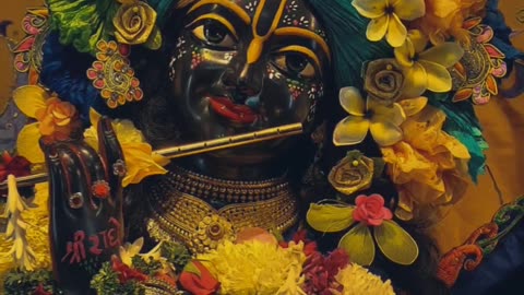 Jai Shree Krishna ❣️