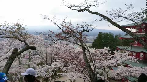 Mount Fuji-Arakurayama Sengen Park_