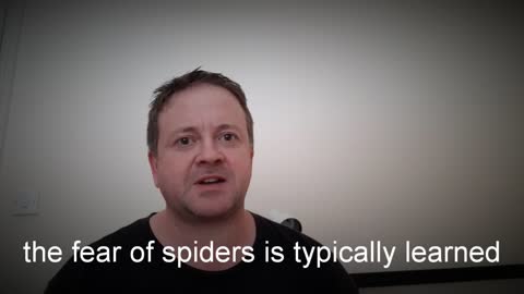Hypnotherapy helping Arachnophobia Online, Berkshire, London, UK the fear of spiders