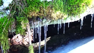 Icicles