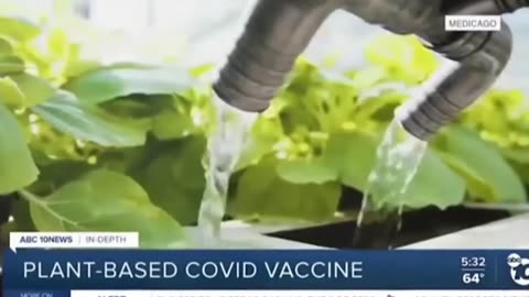 Eating Bugs | "Climate Researchers Say Bugs Could Be a Game-Changer In the Fight to Save the Planet." - CBS (The Network With the All-Seeing Eye As Their Logo) + "Plant-Based COVID Vaccine. A Virus Like Particle." - ABC