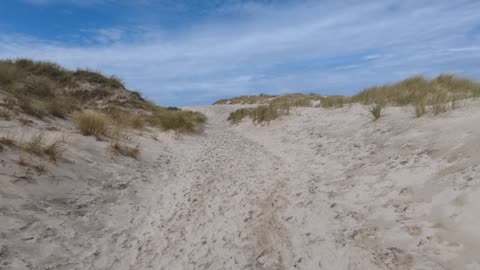 Maghera beach sandhills, Donegal,Ireland