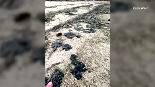 Oil drifts to beach in Bonaire after spill near Tobago