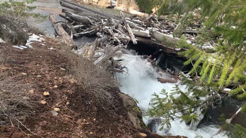 Logjammed Both Literally & Figuratively – Whychus Creek Trail – Central Oregon