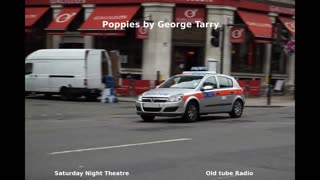 Poppies by George Tarry