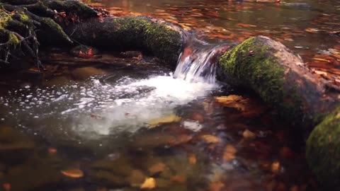 1 hour watersound for Relaxing Raindrops for Sleep FAST, Insomnia, Stress & Relaxation