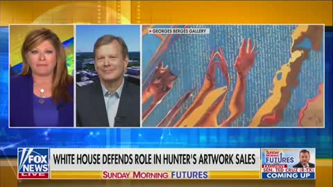 Schweizer: Hunter Biden's artwork venture 'opens gateway to massive corruption'