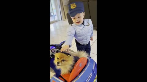 Toddler and his Pomeranian dress up as police officers