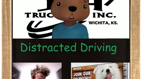 EP. 7 - Distracted Driving and Containing Your Pets