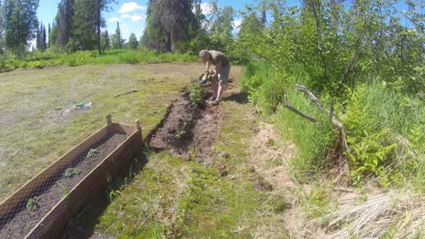 Working in the garden and cutting grass