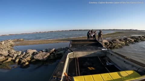 Parole violator leads police on chase that ends in Corpus Christi bay