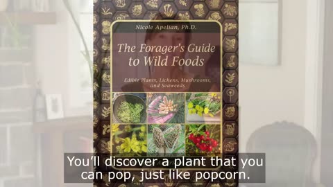 Forager's Guide to Wild Foods| Book to Read