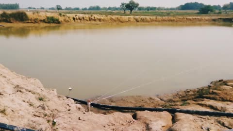 मछली पालन में आने वाली समस्याएं //machli palanmachli palan ka #ytshorts #shorts#fishing #fish