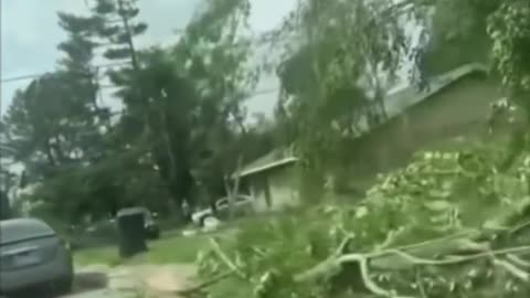 Storm rips out trees, causes damage in Arkansas