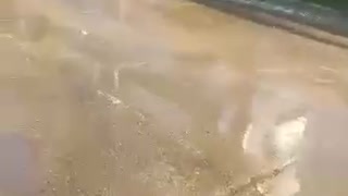 Por rotura de tubo, agua se derrama a chorros en Castillogrande