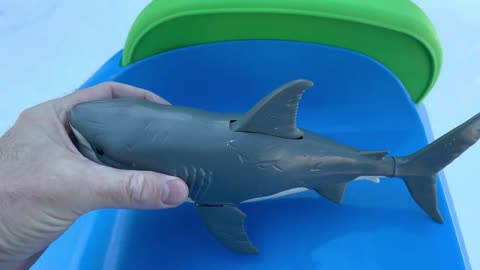 Sea Animal Toys Shown in Hands then Put on Slide