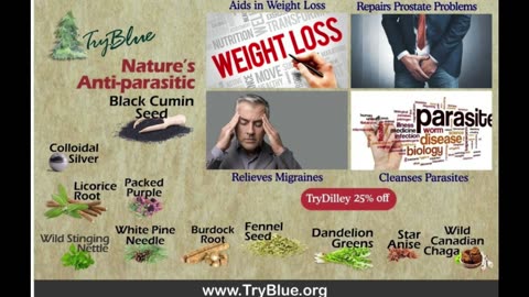 TryBlue is a Proud Sponsor of The Dilley Show - Nature's Anti-Parasitic Black Cumin Seed Elixir